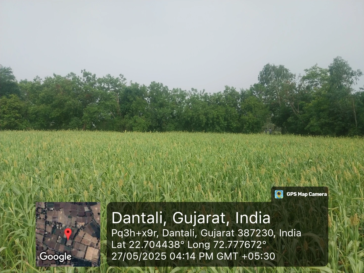LAND FOR SELL IN KHEDA for sale in