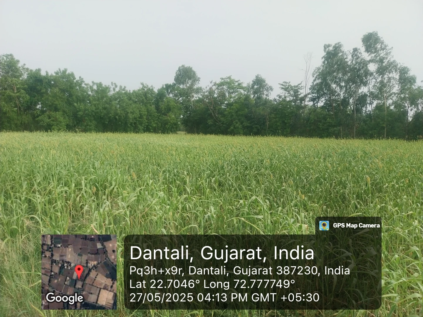 LAND FOR SELL IN KHEDA for sale