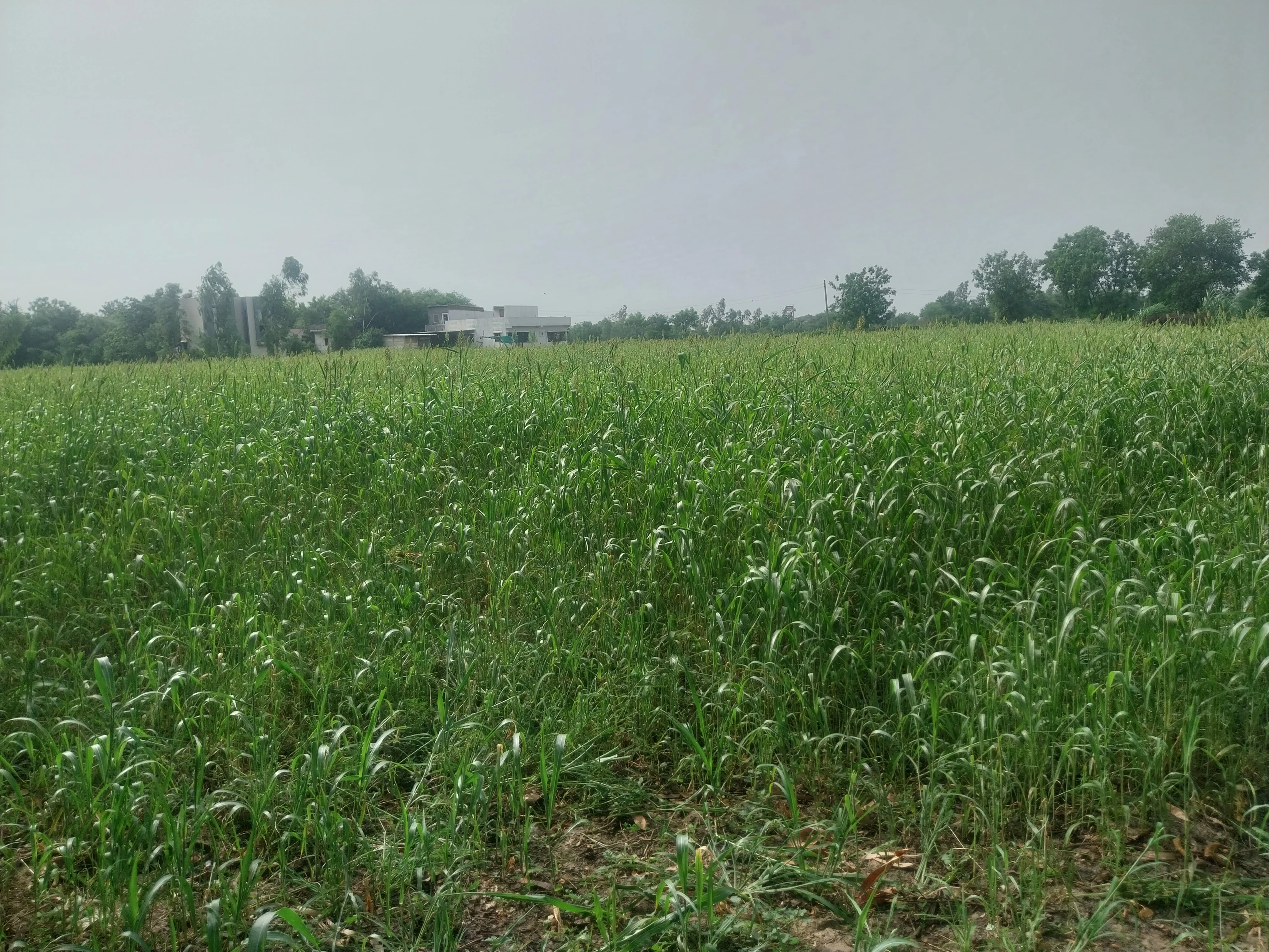 LAND FOR SELL IN KHEDA for sale